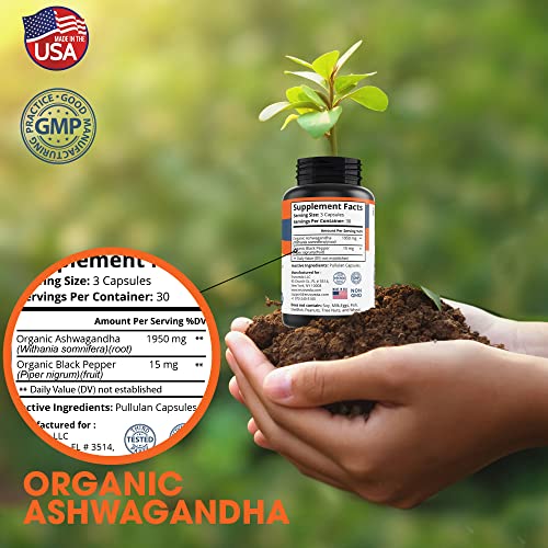 Ashwagandha Organic Capsules 1950mg with Black Pepper - Ashwagandha Root Extract - Stress Relief - Mood Enhancer - Organic Ashwagandha Root Powder Extract - 90 Vegan Capsules