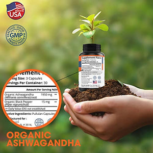 Ashwagandha Organic Capsules 1950mg with Black Pepper - Ashwagandha Root Extract - Stress Relief - Mood Enhancer - Organic Ashwagandha Root Powder Extract - 90 Vegan Capsules