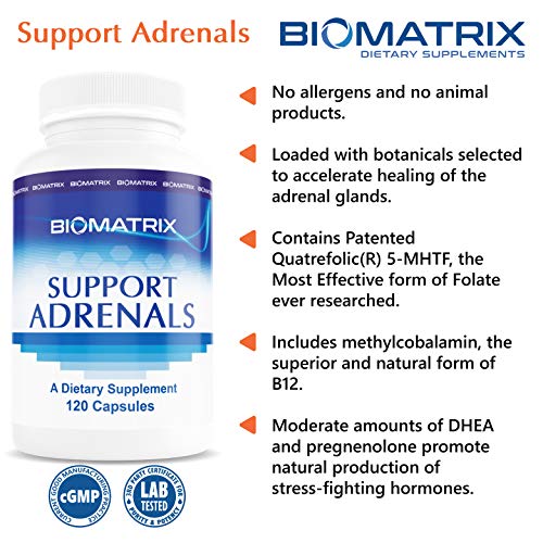 Supplement for Adrenal Health, DHEA, Pregnenolone, 5-MTHF, B Vitamins, Vitamin C, Adaptogens - for Fatigue, Stress, Hormone Balance - 120 Count Vegetarian Caps