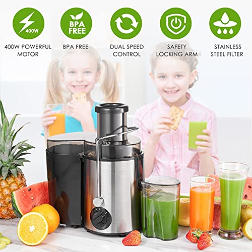 Slow Masticating Juicer Extractor Easy To Clean, 2 Speed Cold Press Juicer With Juice Cup For Vegetable And Fruit Carrots, Oranges And Celery, Etc (Silver)