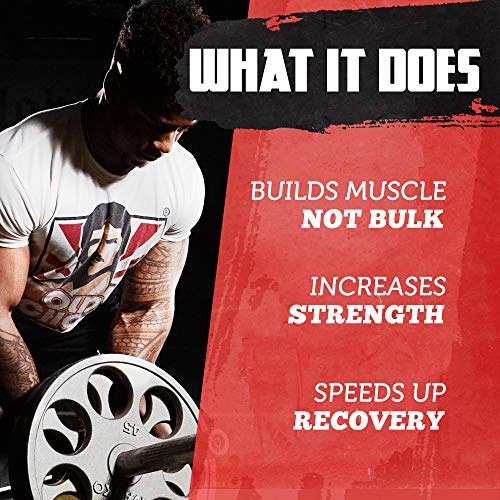 VINTAGE BUILD Post Workout BCAA, Creatine, L-Glutamine - The Essential 3-in-1 Muscle Building Recovery Powder for Men and Women (Lemon Lime) - Keto Friendly - 376 Grams - 30 Servings