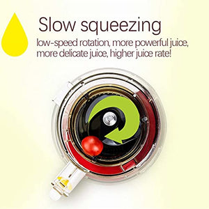 HIZQ Slow Juicer Masticating Juicer Machine, Juicer, Slow Chewing Juicer, Cold-Pressed Juicer Are Easy To Clean, Juicer Has High Yield, High Dry Pulp, Opposite Function