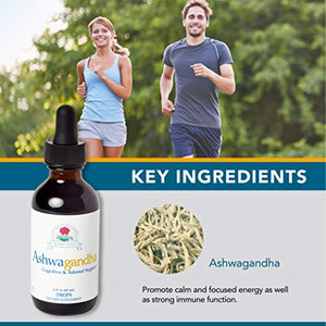 Ayush Herbs Ashwagandha Drops, Powerful Cognitive, Adrenal, Immune System, and Full-Body Support, All-Natural Ayurvedic Herbal Supplement, Doctor-Formulated, 2 Ounces