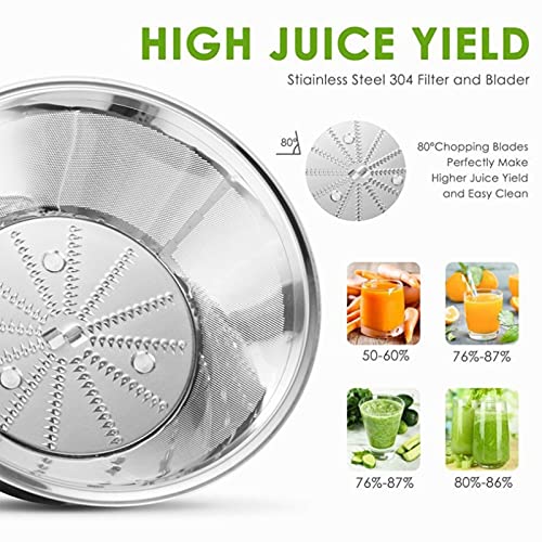 Slow Masticating Juicer Extractor Easy To Clean, 2 Speed Cold Press Juicer With Juice Cup For Vegetable And Fruit Carrots, Oranges And Celery, Etc (Silver)