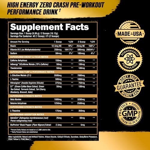 Alpha Lion Pre Workout, Increases Strength & Endurance, Powerful, Clean Energy Without Crash (42 Servings, Orange Gainsicle)