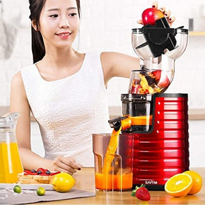 RenminRoad Slow Masticating Juicer Wide Chute Juice Extractor Cold Press Juicer Machine With Quiet Motor/Reverse Function/Juice Jug for Fruits &Vegetables