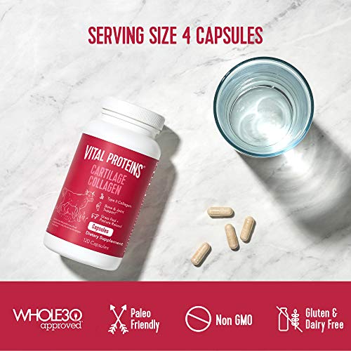 Vital Proteins Cartilage Collagen Pills, Type II Collagen & Chondroitin Sulfate Supplement for Recovery & Healthy Hair, Skin, Nails and Joints - 750 mg Serving with 120 Capsules