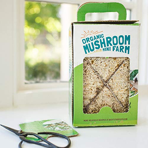 Back to the Roots Organic Mini Mushroom Grow Kit, Harvest Gourmet Oyster Mushrooms In 10 days, Top Gardening Gift, Holiday Gift, & Unique Gift