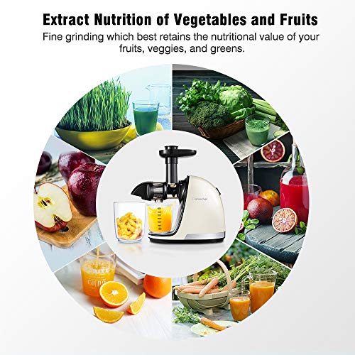 Slow Juicer,AMZCHEF Slow Masticating Juicer Extractor Easy to Clean, Cold Press Juicer Machines with Brush, Juice Extractor with Quiet Motor & Reverse Function, for High Nutrient Fruit & Vegetable Juice
