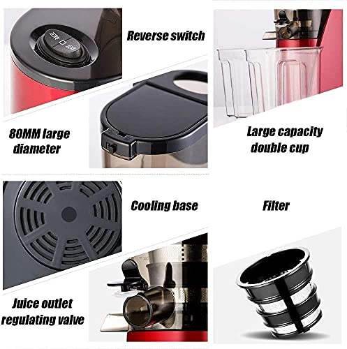 RenminRoad Juicer,Slow Masticating Juicer Machine,Cold Press Juicer Extractor Easy to Clean,Quiet Motor,Reverse Function Anti-Clogging,with Brush,for Fruits and Vegs