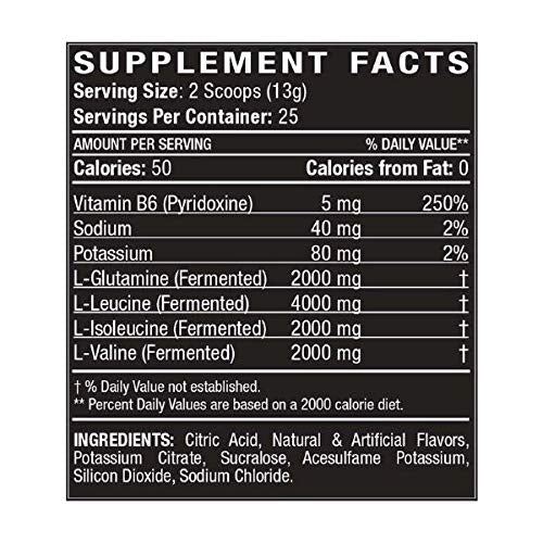 Titan BCAA+ Powder - Branched-Chain Amino Acid + Glutamine - Build Lean Muscle, Increase Muscle Mass, Aid Recovery - BCAA Ratio 2:1:1 - No Gluten, Low-Carb - Vegan - 50 Servings - Watermelon Splash