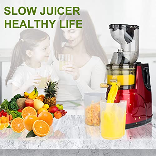 OverTwice Slow Masticating Juicer Cold Press Juice Extractor Apple Orange Citrus Juicer Machine with Wide Chute Quiet Motor for Fruit Vegetables