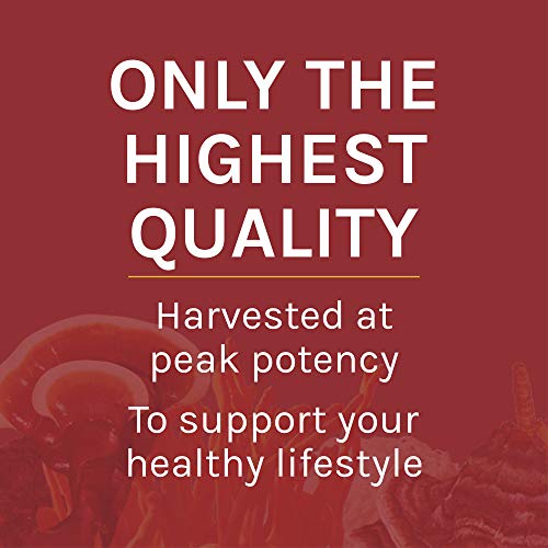 Host Defense, Reishi Mushroom Powder, Supports Energy, Cardiovascular Health and Stress Response, Certified Organic Supplement