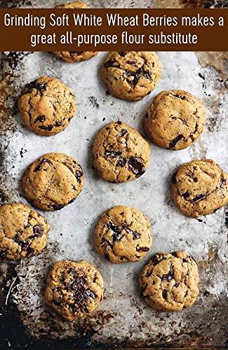 Soft White Wheat Berries • Family Farmed in Washington State • 100% Desiccant Free • 3 lbs • Non-GMO Project Verified • 100% Non-Irradiated • Kosher • Field Traced • Cotton Bag