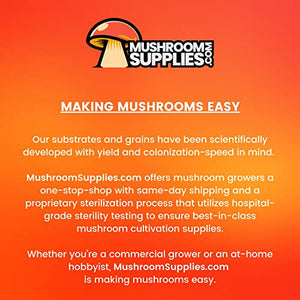 MushroomSupplies.com All in ONE Mushroom Grow Bag (3 LBS) | Mushroom Grow Kit with Sterilized Grain and Substrate | Easy Grow Your Own Mushrooms Kit