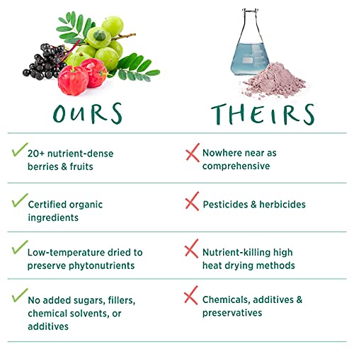 Pure Synergy Berry Power | 5.3 oz Powder | USDA Organic | Non-GMO | Vegan | with 20 Antioxidant-Rich Fruits and Berries