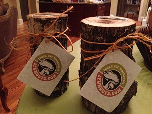 12" Mushroom Log DIY Shiitake Mushrooms Ready to Grow Your Own