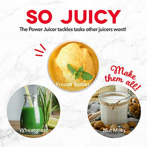 Dash Deluxe Compact Masticating Slow Juicer, Easy to Clean Cold Press Juicer with Brush, Pulp Measuring Cup, Frozen Attachment and Juice Recipe Guide - Graphite