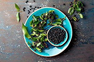 Organic Maqui Berry Powder, 1 Pound — Non-GMO, Raw, 100% Pure, Vegan Superfood, No Added Sugar, Bulk, Rich in Iron, Fiber and Antioxidant, Great for Juices, Drinks, and Smoothies.