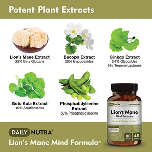 Lion’s Mane Mind Formula by DailyNutra - Nootropic Supplement for Cognitive Health | Organic Mushroom Extract with Bacopa, Gingko, Gota Kola, and Huperzine-A (3-Pack)