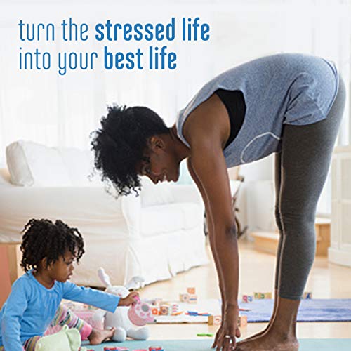 Stressballs De-Stress + Relax with Ashwagandha for Stress Relief Ginseng & Lemon Balm Herbal Blend Non-Drowsy Supplement Gummies, Lemon, 46 Count