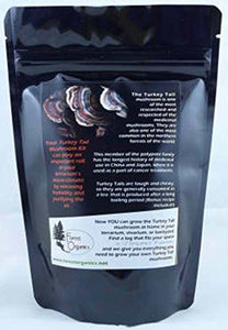 Forest Organics Turkey Tail Mushroom Growing Kit for Terrariums Medicinal Tea Gorws for Years!!