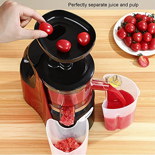 Slow Masticating Juicer Vegetable And Fruit, Cold Press Juicer Machine Easy To Clean, Fruit Juicer 98% Juice Yield & Pure Juice, Quiet Motor