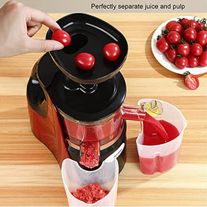 Slow Masticating Juicer Vegetable And Fruit, Cold Press Juicer Machine Easy To Clean, Fruit Juicer 98% Juice Yield & Pure Juice, Quiet Motor