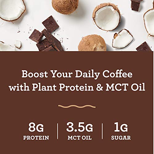 Amazing Grass Amazing Protein Creamer, Plant-Based Protein with Coconut MCT Oil, Dark Chocolate, 12 Servings, 7.6 Ounce (Pack of 1)