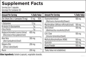 Designs for Health GI Revive - Gut Health Supplements - Intestinal Lining + Gut Health Support with Slippery Elm, Cat's Claw, Aloe, L-Glutamine, Marshmallow Root + More - Gluten-Free (210 Capsules)