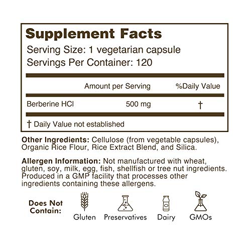 All Natural Berberine HCl 500mg Supplement - Magnesium Stearate Free - Blood Sugar Metabolism Support - Effective Immune System Booster - 120 Vcaps