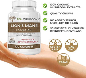 Lions Mane Mushroom Cognition Capsules (120 Capsules) Lions Mane Mushroom Powder Extract Capsules | Brain Supplement, Brain Vitamins, Focus Supplement