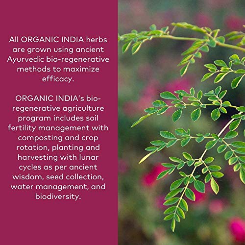 Organic India Triphala Powder - Immune Support, Digestion, Adaptogen, Colon Cleanse, Nutrient Dense, Vegan, Gluten-Free, Kosher, USDA Certified Organic, Non-GMO, Triphala Powder Organic - 1 Lb Bag