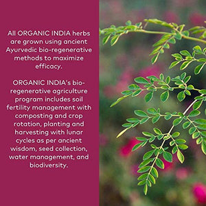 Organic India Triphala Powder - Immune Support, Digestion, Adaptogen, Colon Cleanse, Nutrient Dense, Vegan, Gluten-Free, Kosher, USDA Certified Organic, Non-GMO, Triphala Powder Organic - 1 Lb Bag