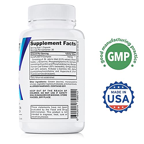 VIVVID Brain Booster Focus Supplement - Nootropic Supplements to Improve Memory and Increase Concentration - with Brahmi, Ginkgo Biloba and Other Brain Power Boosters