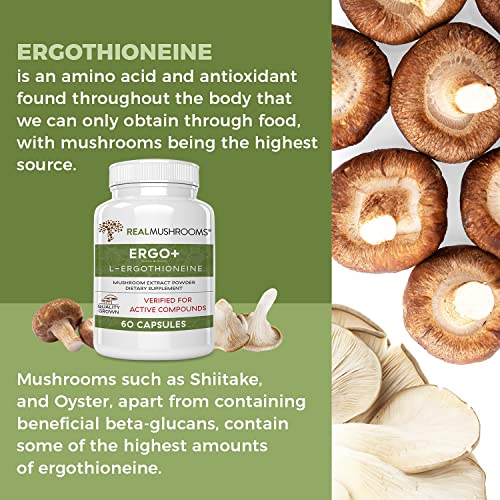 L-Ergothioneine Supplement, Oyster and Shitake Mushroom Extract, Immune Support Supplement with Beta Glucans, Longevity & Immune Support (60 Caps)