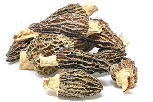 Slofoodgroup Dried Morel Mushrooms (Morchella Conica) Gourmet Morel Mushrooms ( 5 Lb Morels )…