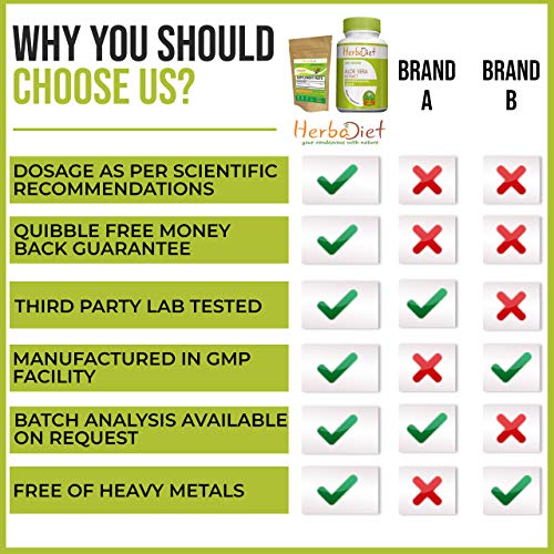 Quercetin Dihydrate 98% Extract Powder | Normal Cardiovascular & Respiratory Health, Immune System & Energy Support, Antioxidant | Non-GMO, Gluten Free (100 Gram)