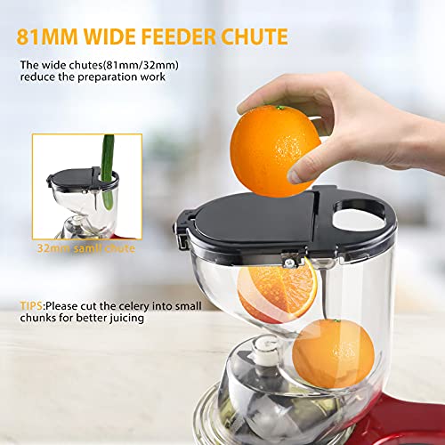 Slow Masticating Juicer, Easy Clean Juice Extractor Machine, Cold Press Juicer with Quiet Motor, Reverse Function, High Yield, Wide Feed Chute, 2 Juice Cup 1 Brush for Vegetables and Fruits Use