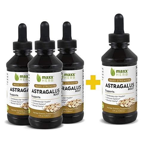 Maxx Herb Astragalus Root Extract - Astragalus Tincture Absorbs Better Than Astragalus Capsules, Astragalus Extract for Immune Support and Mental Clarity - 4 Bottles, 4 Oz Each (240 Servings)