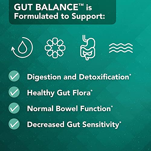 Vital Plan Gut Balance Supplement by Dr. Bill Rawls - Advanced Digestive Health Support Formula w/ Clinical-Grade Slippery Elm Bark, Berberine & Dandelion Extract for Women & Men (180 Capsules)
