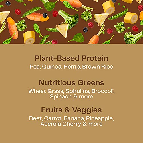 Amazing Grass Organic Plant Protein Blend: Vegan Protein Powder, All-In-One Nutrition Shake with Beet Root, Chocolate Peanut Butter, 10 Servings , 14.8 Ounce (Pack of 1)