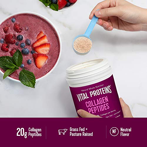 Vital Proteins Collagen Peptides, 10.8 oz, Dark Chocolate & Blackberry
