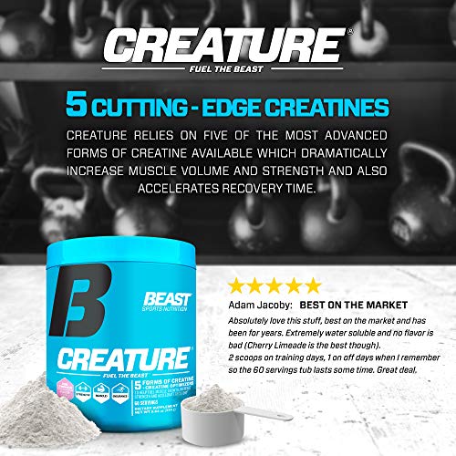 Beast Sports Nutrition – Creature Creatine Complex – Fuel Muscle Growth – Increase Strength – Enhance Endurance – Reduce Recovery Time – 5 Forms of Creatine – Citrus 60 Servings