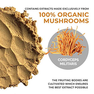 Real Mushrooms Cordyceps Peak Performance Supplement for Energy, Stamina & Endurance | Non-GMO, Vegan, Organic Cordyceps Powder| 60 Servings