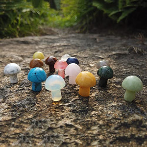 20 Pcs Mushroom Shaped Chakra Stones Natural Polished Crystals Agate Gemstones for Healing Chakras Balancing Meditation Yoga Miniature Moss Landscape(Random Colors)