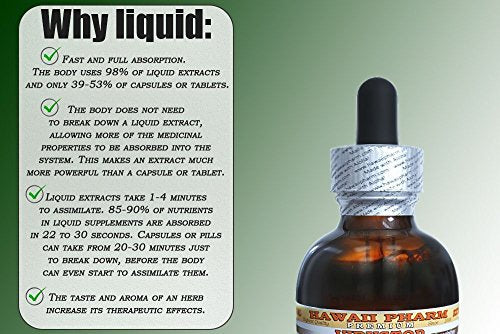 Brahmi Alcohol-Free Liquid Extract, Organic Brahmi Liquid (Bacopa Monnieri) Whole Herb Dried Glycerite 2x32 oz Unfiltered