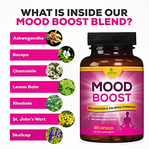 Stress Support Supplement 1000mg, Natural Herbal Formula for Calm, Positive Mood, Relaxation - Made in USA - with Ashwagandha, Niacin, L-Theanine, Rhodiola Rosea, 5-Htp - 60 Capsules