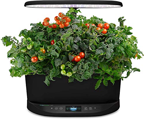 AeroGarden Bounty - Indoor Garden with LED Grow Light, WiFi and Alexa Compatible, Black