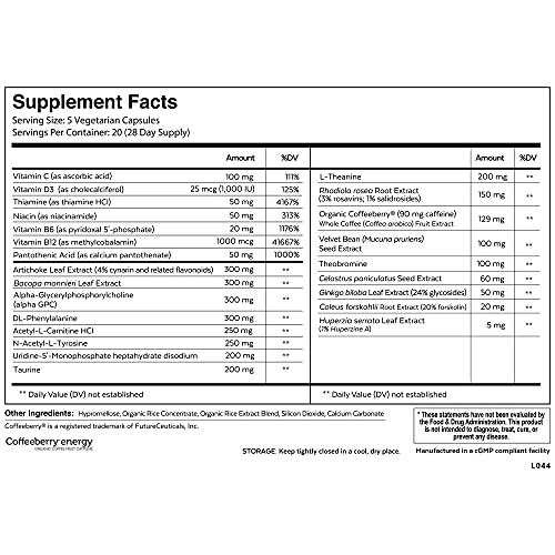 Qualia Mind Essentials Nootropics 100ct | The Brain Supplement for Focus, Supporting Memory, Mental Clarity, Energy, Reasoning, and Concentration with Ginkgo biloba, Bacopa monnieri, Celastrus